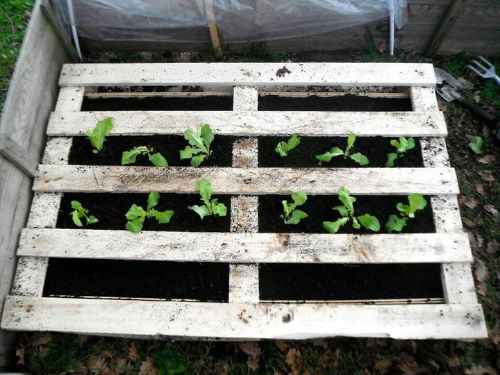 DIY Pallet Vegetable Garden Pallets Pro
